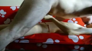 Bokep Indo Skandal ABG Bispak Ibukota Main Di Hotel